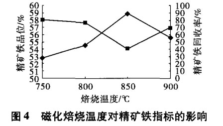 磁化焙燒溫度對精礦鐵指標(biāo)的影響